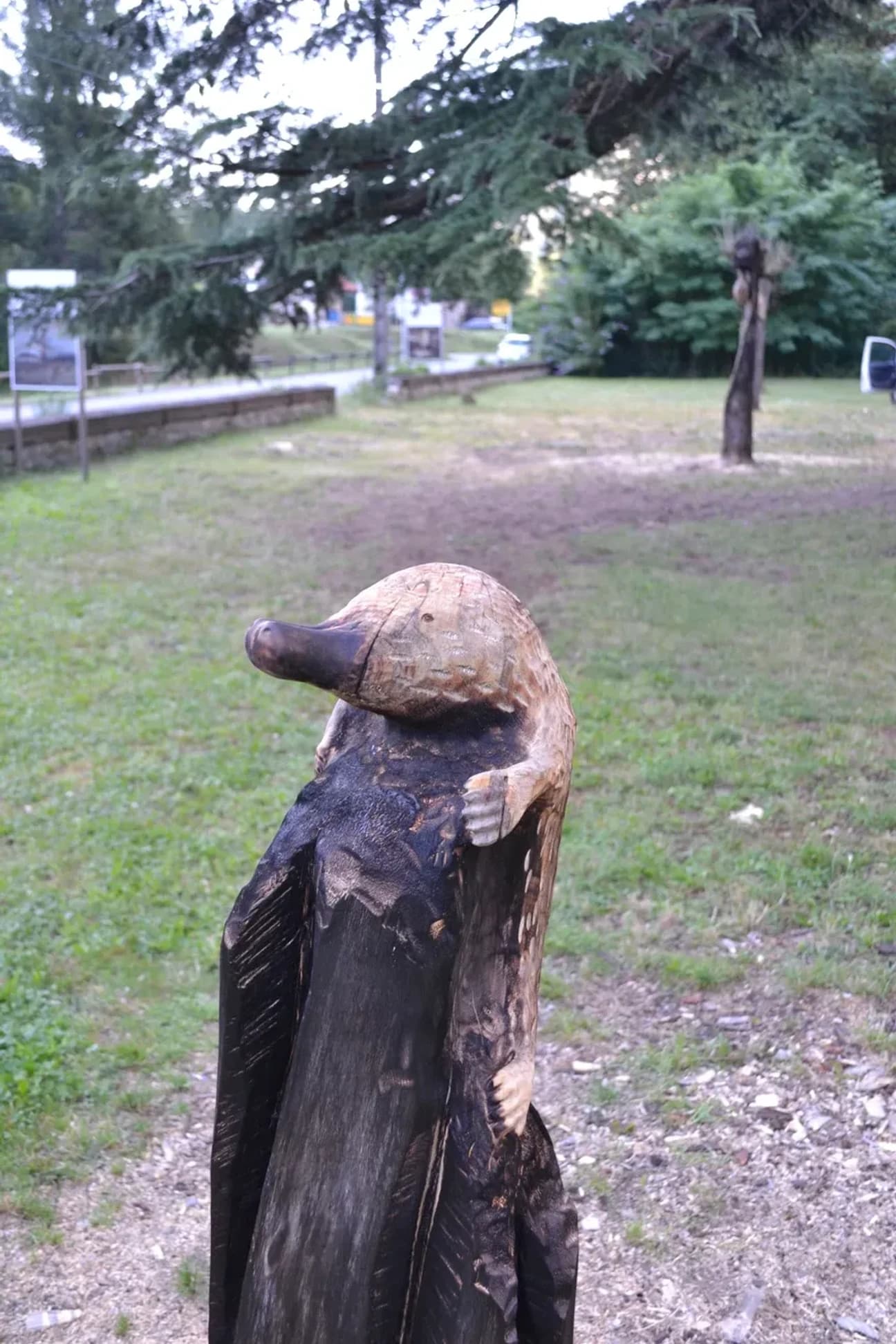 Sculpture bois desman n°2