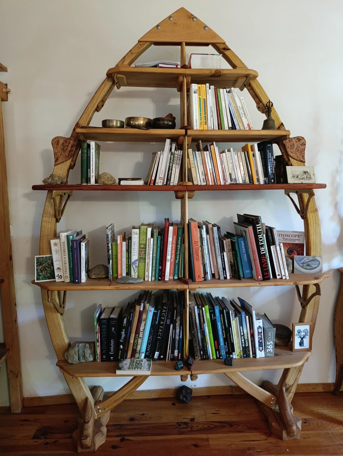 vaisseau bibliothèque